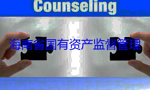 有福接受审委副书记王海南省国有查调查资产监督管理委员会党